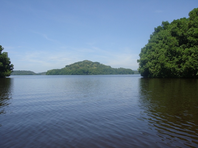 DSC05412